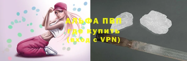 прущие грибы Волосово