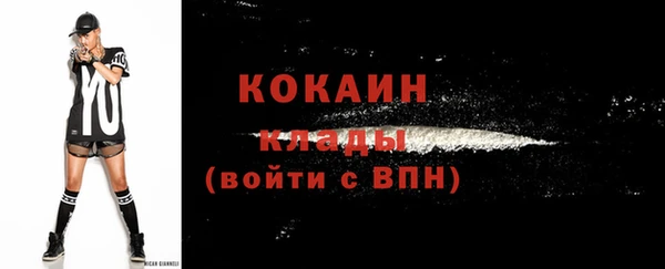 прущие грибы Волосово