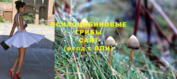 альфа пвп Володарск