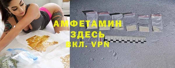прущие грибы Волосово