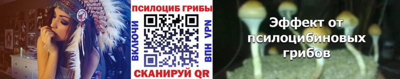 закладка  Петушки  Псилоцибиновые грибы Cubensis 